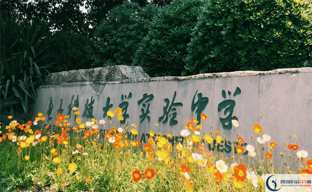 電子科技大學實驗中學今年的錄取條件是否有變化？