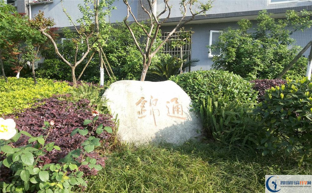 2020年通錦中學(xué)自主招生考試時(shí)間是否有調(diào)整？