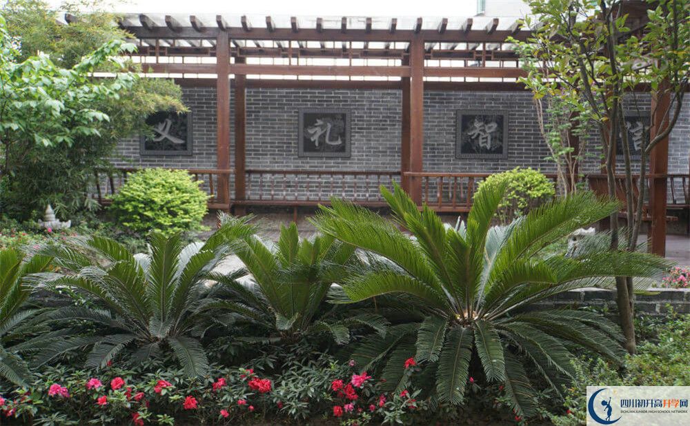 2020成都八中考自主招生條件是什么，有何變化？