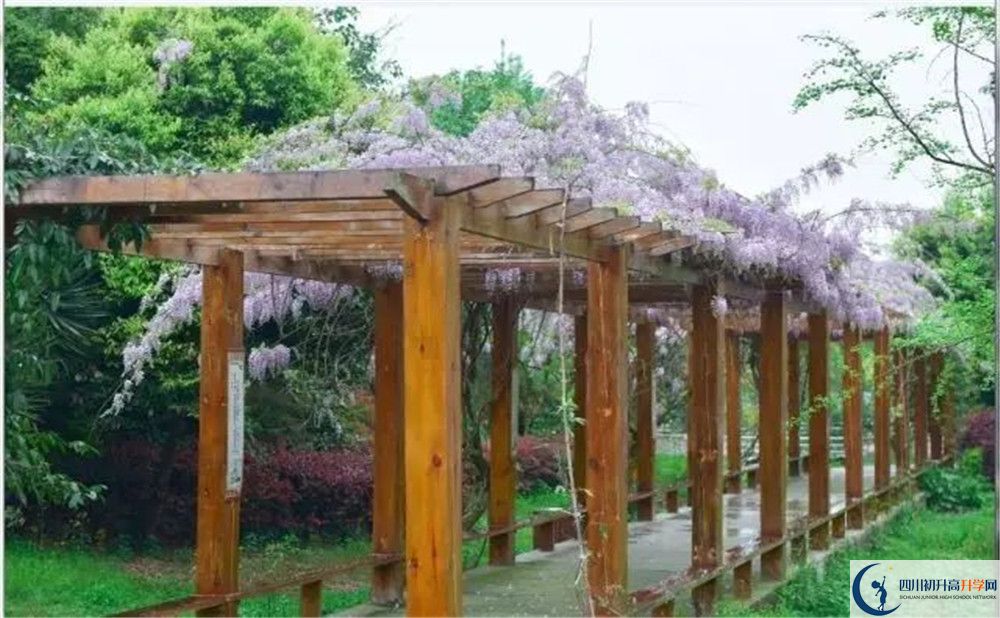 廣安花橋中學高三診斷考試時間怎么安排？