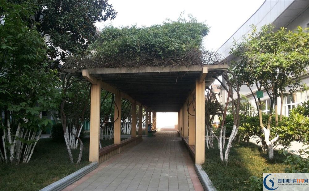 成都通錦中學(xué)地址在哪里？