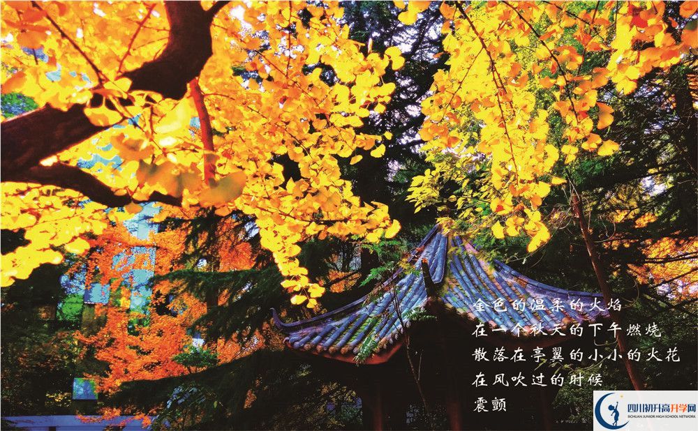 七中高新2020年錄取分?jǐn)?shù)線是多少分？