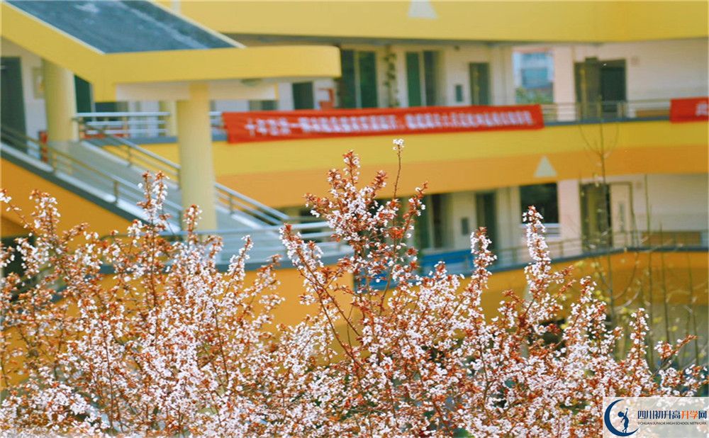 成都南開為明學(xué)校2020年排名高不高？