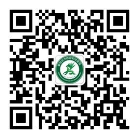 2022年攀枝花市會(huì)考成績(jī)?nèi)绾尾樵?xún)？